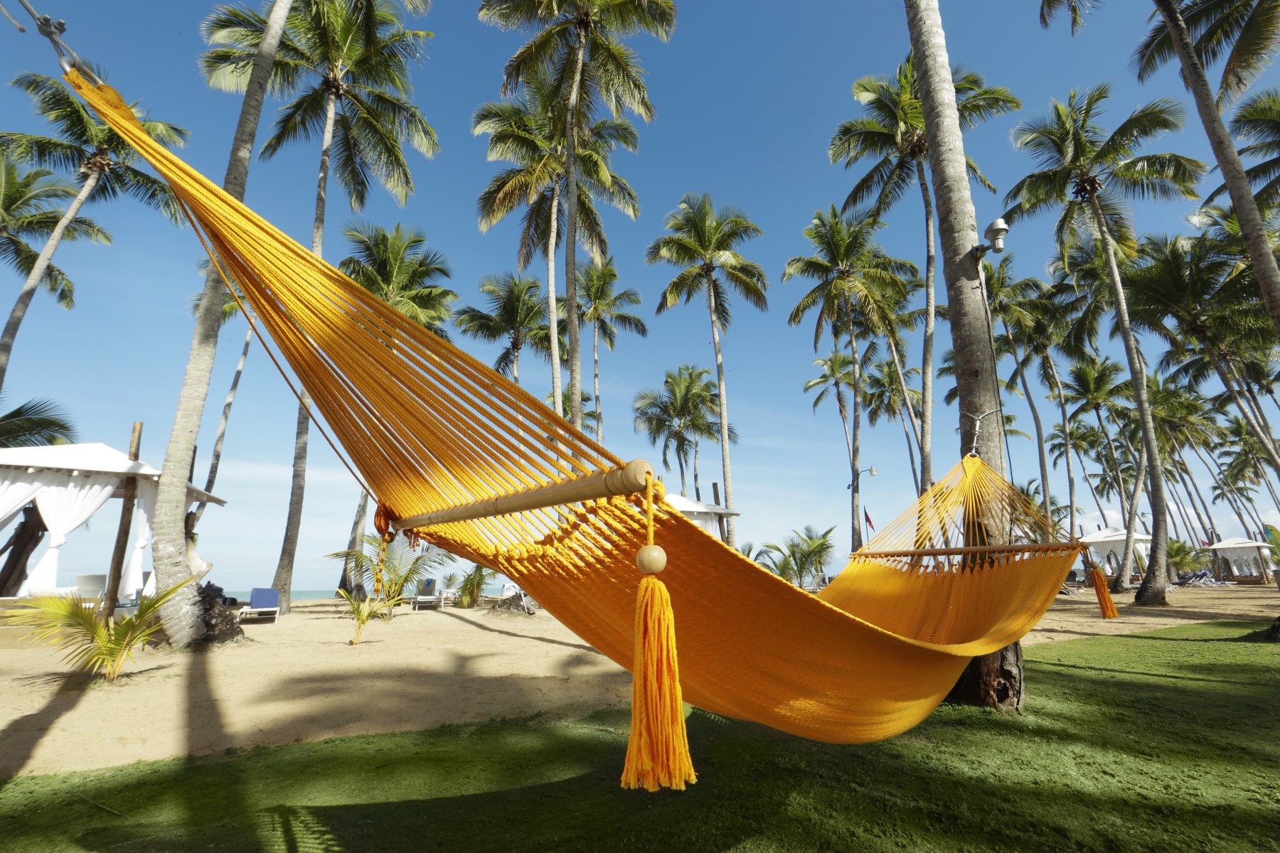 Samana - Viva Wyndham V Samana